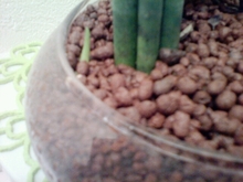 2014105151238.jpg