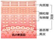 2014104102641.jpg