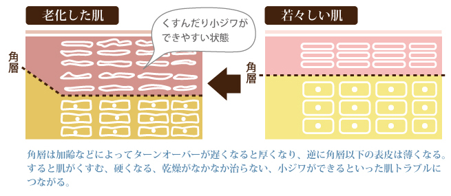 28日よりかなり遅くなる