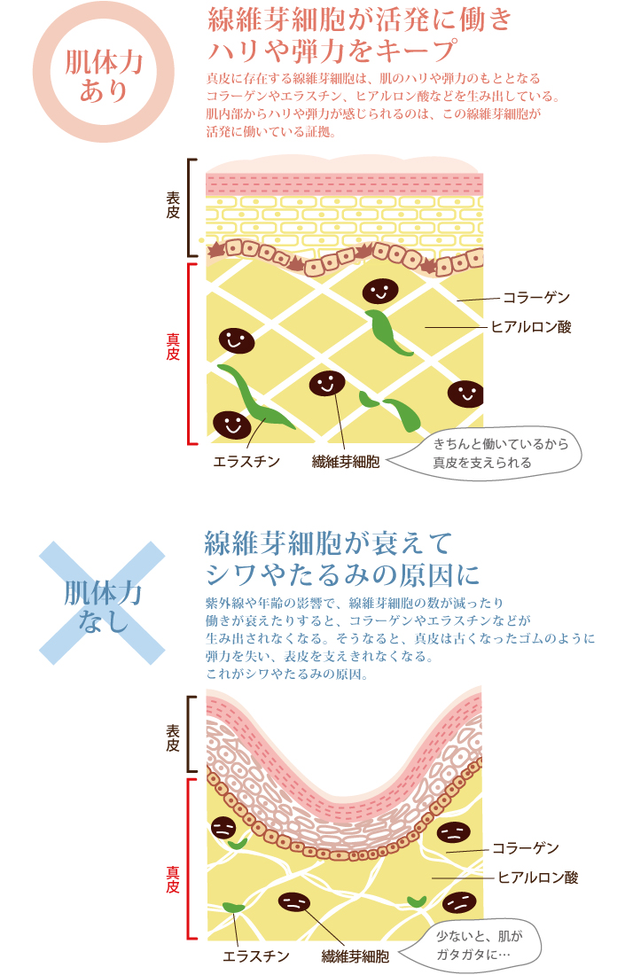 40代の肌トラブル