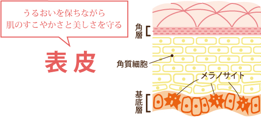 30代の肌トラブル